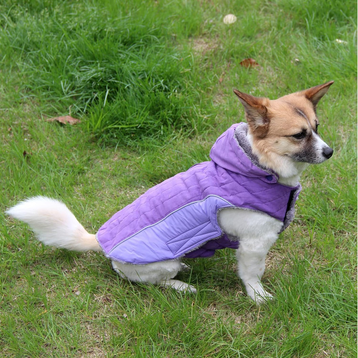 Флісовий теплий пуловер з капюшоном для собак, тепла куртка для цуценят на зиму, зелений, розмір S