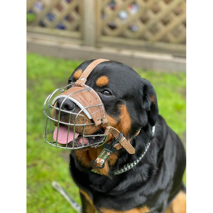 Міцний нашийник-маска для собак з дротяної сітки, Rottweiler, Mastiff, Golden Retriever та інші (сріблястий/коричнева шкіра, R4)