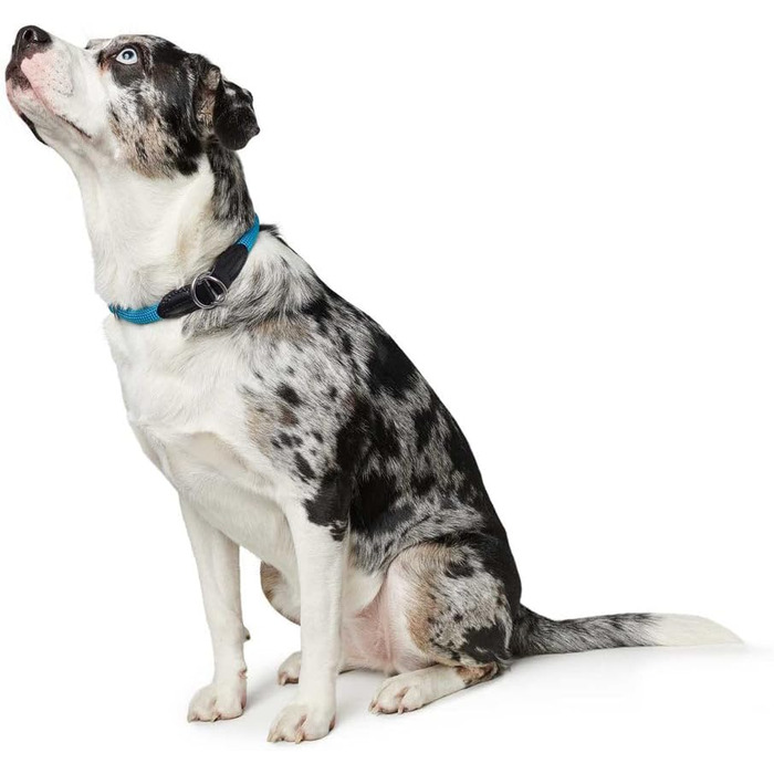 HUNTER Dressurhalsung FREESTYLE, чорний, міцний ошейник для тренувань та повсякденного використання, розмір L