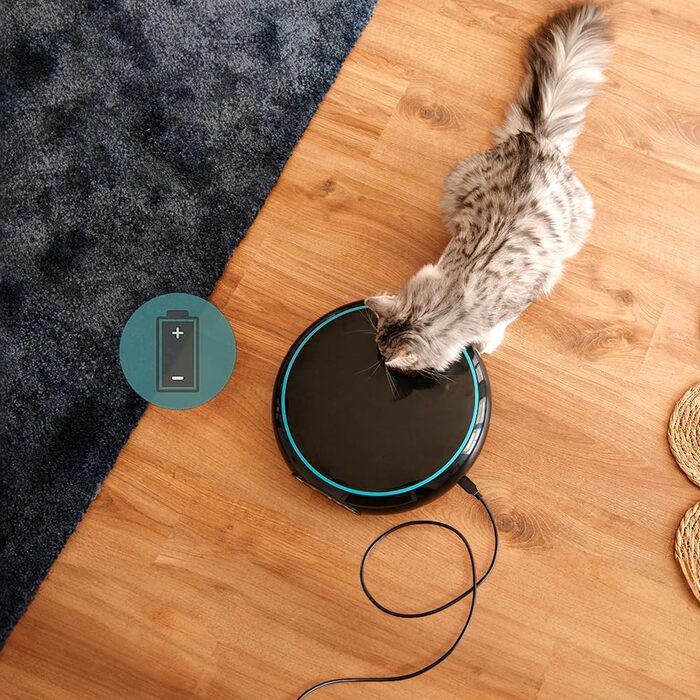 Автоматичний годівниця для домашніх тварин Cecotec Pumba 1600 Purrfect Meal - 1.6 л, 4 відділення, таймер, LED-дисплей, голосовий рекордер