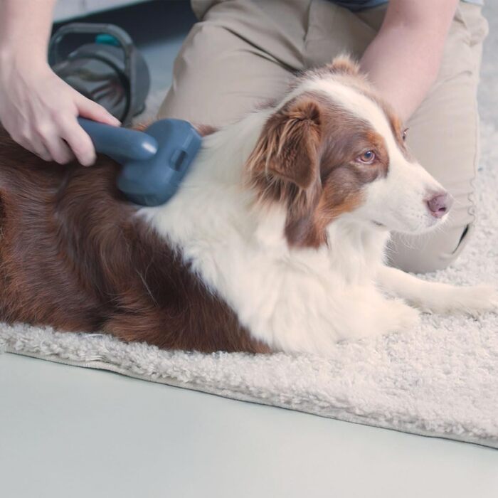 Набір для догляду за тваринами FurVac Pro: пилосос для шерсті та тример - комплект, стаціонарний тример, догляд за шерстю