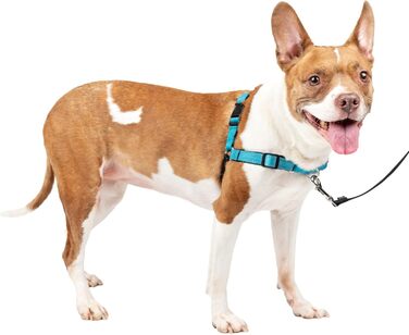 Шлея для собак PetSafe Deluxe Easy Walk, нейлон, антипотяг, чорна