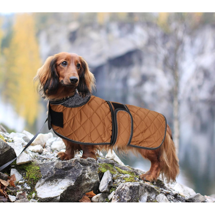 MOREZI Теплий зимовий одяг для собак - водонепроникний пуловер для такс з вовняною підкладкою та регульованими ременями, теплий зимовий одяг для маленьких собак на вулицю, зелений, S (довжина спини: 36-38 см), зелений (M (довжина спини: 42-45 см), коричне