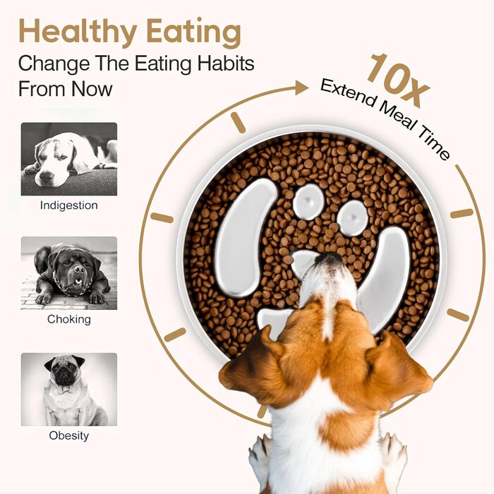 Миска для собак Slow Feeder з нержавіючої сталі з силіконовою основою, 2 чаші, велика місткість, для повільного годування, всіх порід