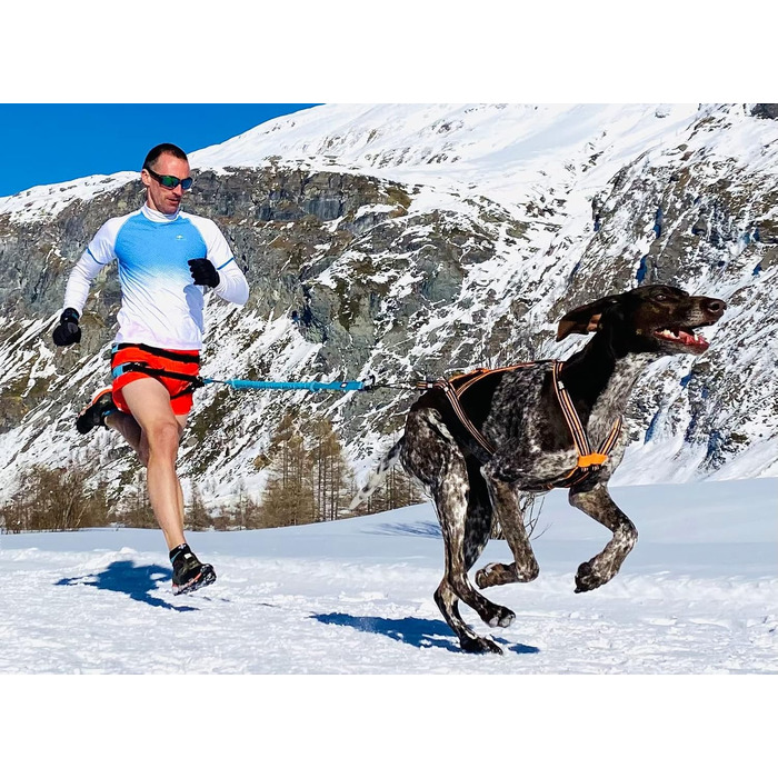 Шлея для собак I-dog Canicross X-Back One XL, для бігу з собакою