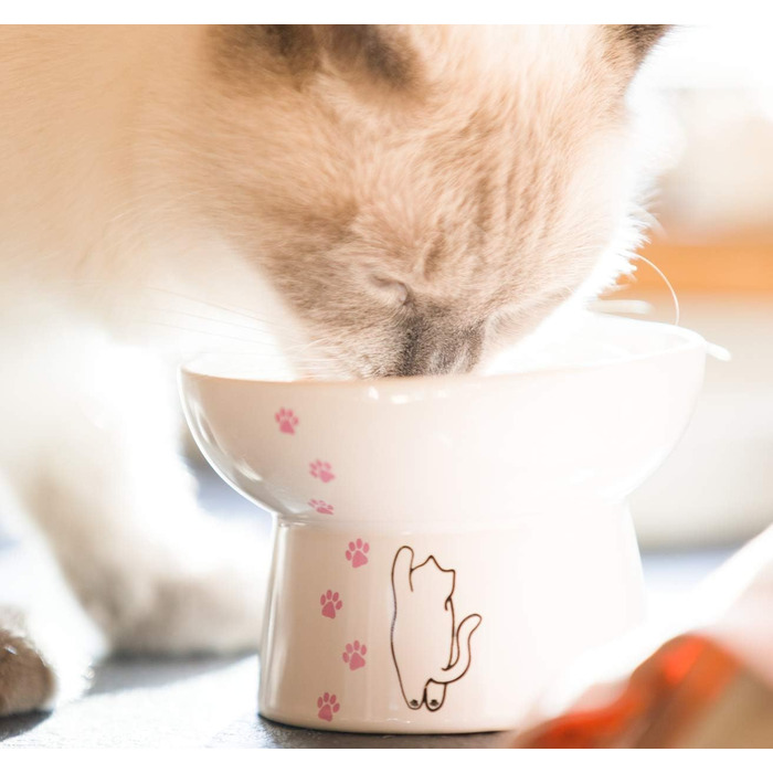 Підвищений годівниця для котів з порцеляни, антизворотний клапан, для вологого та сухого корму, безпечна та безстресова