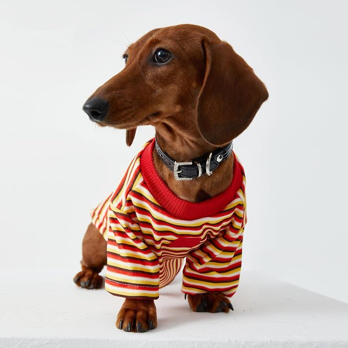 Світшот-куртка для дрібних та середніх собак, теплий пуловер, смугастий, з тонкого флісу, комбінезон для собак, одяг для тварин, двоногий одяг для мініатюрних такс, одяг для собак, червоний S