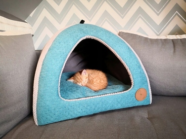 Будник для собак та котів LAUREN design BELLA TROPIC