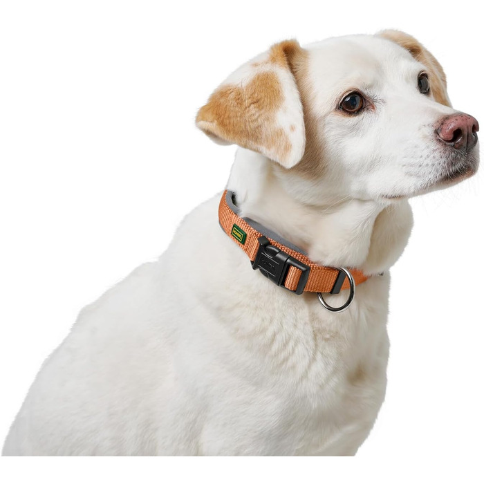 Нашийник для собак HUNTER Neopren Vario Plus, нейлон, неопрен, регульований, з поглинанням ривка, комфортний, розмір L/2,5, колір: мідний/сірий