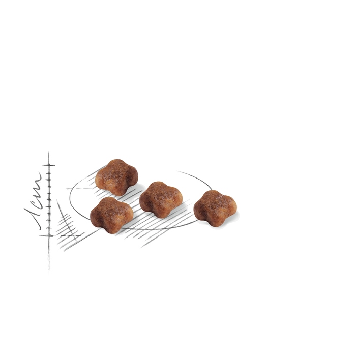 Корм Royal Canin Mother & Babycat для кішок-матерів та кошенят, 4 кг