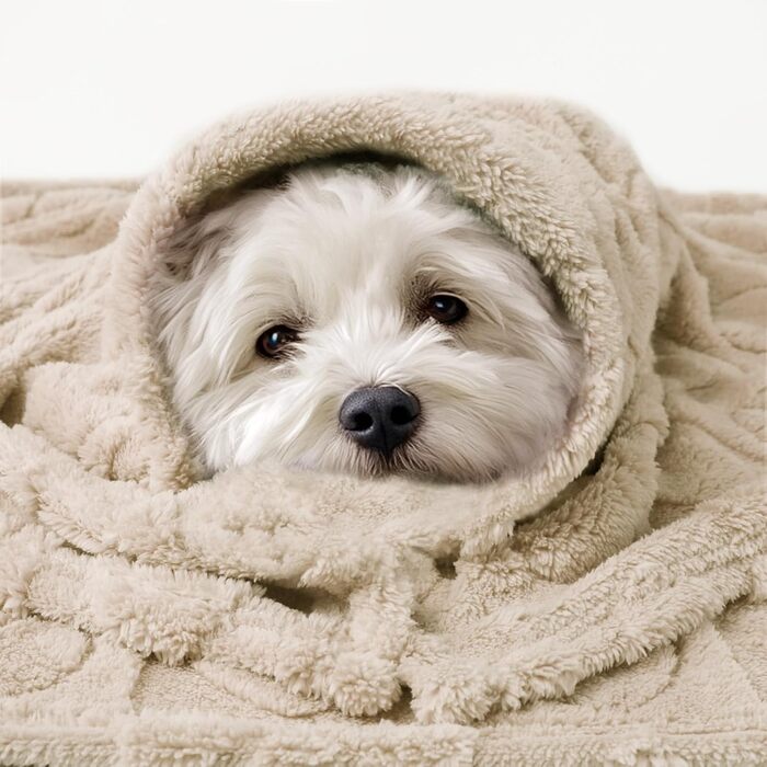 Плед для собак та котів Luciphia, 2 шт. у бежевому кольорі, 145x102 см (57x40 дюймів), прання можливе