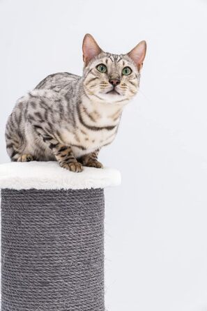 Дряпак для великих котів Petrebels Savannah XXL 86 см, висока якість, товста стовп-колона Ø20 см, оф-вайт
