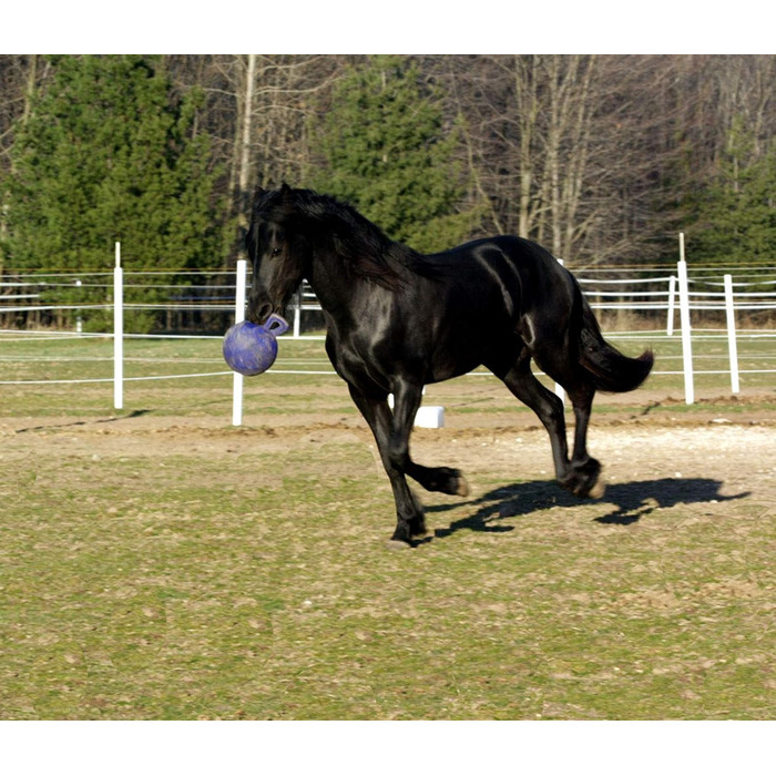 Іграшка м'яч для коней Horsemen Stolz Jolly Ball 25 см, фіолетовий, універсальний