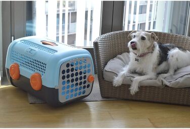 Транспортний бокс для собак та котів UNITED PETS A.U.T.O., міцний, виготовлений в Італії, зелений/бежевий, з гігієнічним килимком, 51 x 37 x 33 см