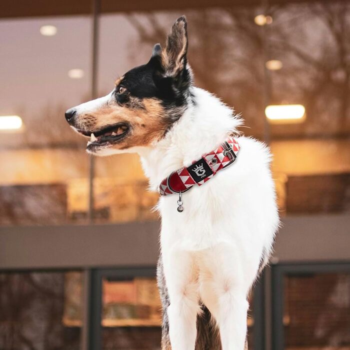 Тактичне нашийник для собак TSPRO, міцний, з металевою застібкою, 3,8 см, регульований, для середніх та великих собак (зелений M), розмір M-H (40-48 см)