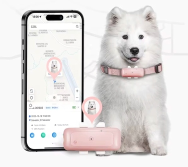 GPS-трекер 4G для тварин: локалізатор для собак та котів без абонплати