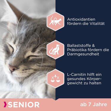 Сухий корм для літніх котів Eukanuba Senior, 10 кг