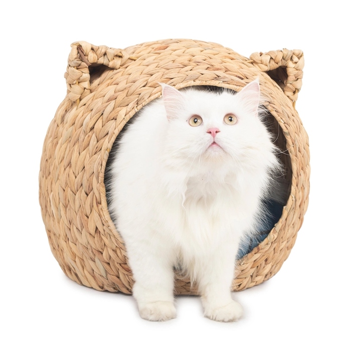 Ліжко-будиночок для кота: плетений кошик із водяного гіацинта з м'яким матрациком