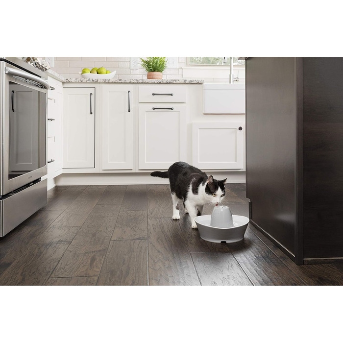 Керамічний фонтан PetSafe Streamside для котів і малих собак, безшумний, 1,8 л