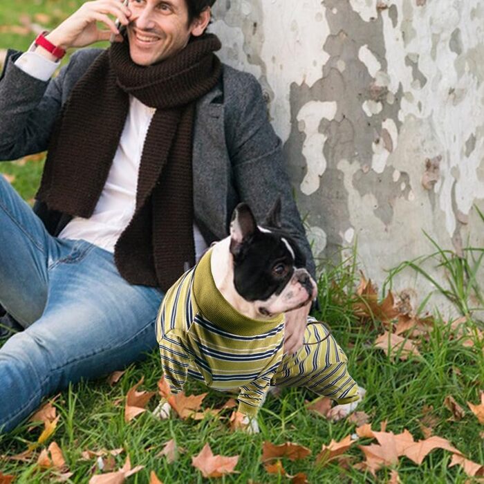 Захисний одяг для собак після операції: комбінезон для відновлення після кастрації/стерилізації (XXL, гірчичний)