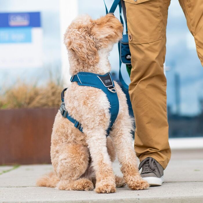 Шлея для собак DOG Copenhagen Comfort Walk Pro, мисливський зелений, розмір L