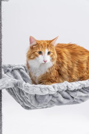 Дряпак для котів Petrebels Alexis 224, до стелі, сірий, 45x35x224 см