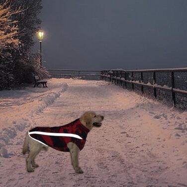 Водонепроникний собачий плащ: тепла зимова куртка, жилет для собачого спорту, одяг для домашніх тварин з отвором для шлейки, світловідбиваючими смугами, середній/великий розмір, вітронепроникний костюм, одяг для собак, білий/чорний (5XL, червоний)