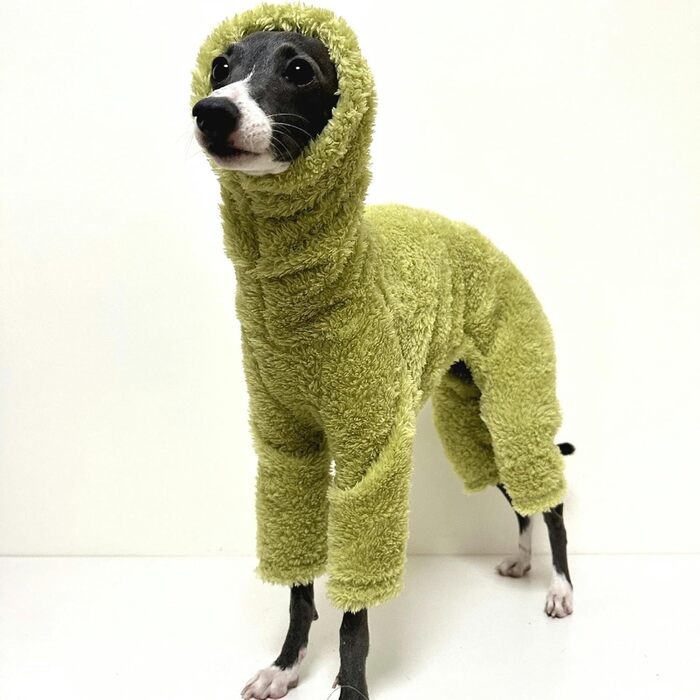 Теплий флісовий комбінезон для собак - теплий спальний костюм, зимовий одяг для італійських грейхаундів, маленьких, середніх та великих собак (2.3 кг, Зелений)