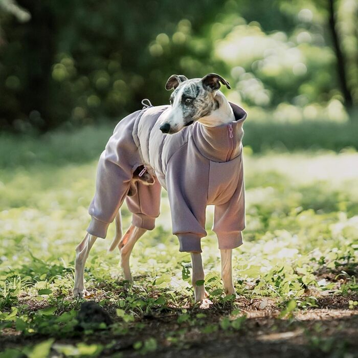 Зимовий теплий куртка для собак з отвором для повідка. Вітростійкий зимовий одяг для маленьких, середніх та великих собак (25N016 Білий, XL)