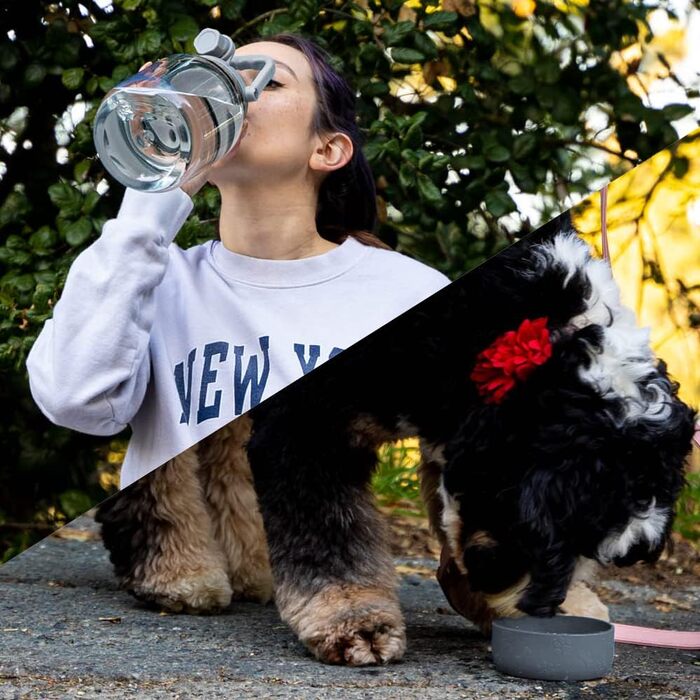 Asobu Barkley - Поїлка з мискою для собак, 1 л, Tritan, сіра | Для піших прогулянок, спорту та фітнесу