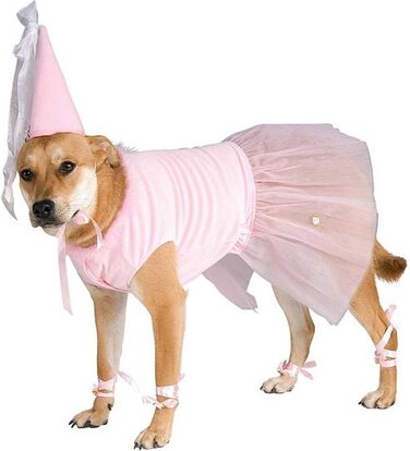 Костюм принцеси Rubies для домашніх тварин, багатобарвний (Small)