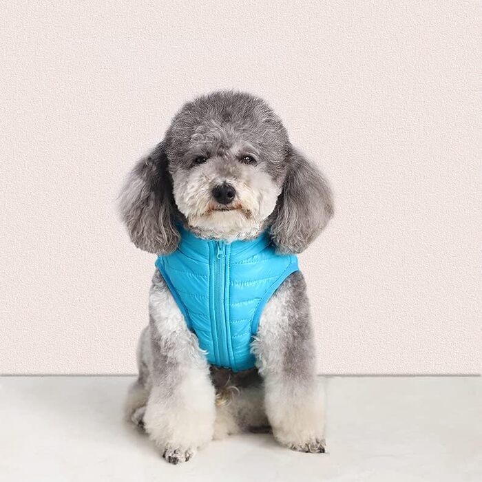 Зимовий теплий водонепроникний теплий зимовий одяг для собак з кільцем D, суперлегкий, для маленьких собак, кошенят, цуценят (XS, XL, блакитний)