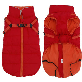 колір: гниль