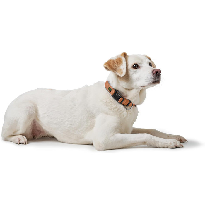 Нашийник для собак HUNTER Neopren Vario Plus, нейлон, неопрен, регульований, з поглинанням ривка, комфортний, розмір L/2,5, колір: мідний/сірий