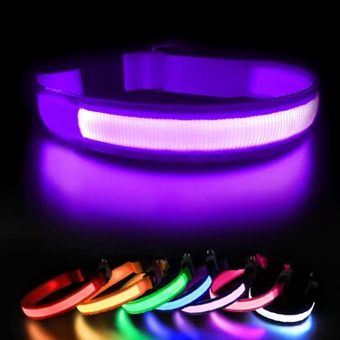 Світловідбиваючий нашийник для собак ASBRILL з USB-C, LED нашийник для собак, регульований, водонепроникний, 3 режими світіння, для малих, середніх та великих собак (L, фіолетовий)