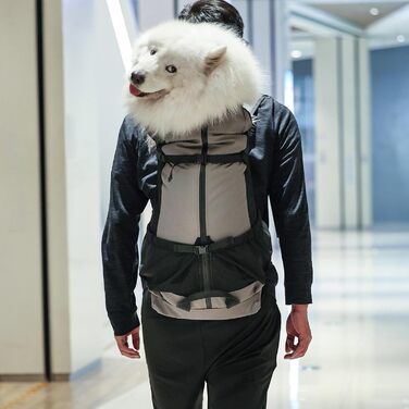 Рюкзак для тварин, рюкзак для собак з великим регульованим відділенням, кліпса від випадання шерсті, аксесуари для тварин