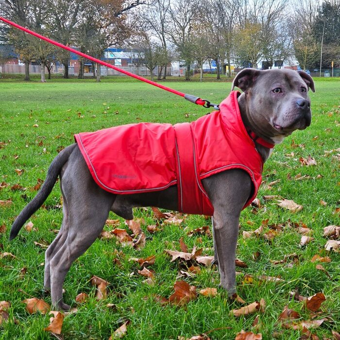 Теплий водонепроникний зимовий одяг для собак Hugglepets Arctic Armour, фіолетовий, XL, 60 см, з відбиваючим флісом для великих собак, регульована застібка-липучка та блискавка