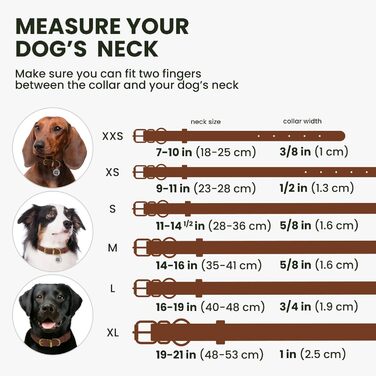 Нашийник для собак BRONZEDOG з шкіри, з QR-ідентифікатором, регульований, м'який, круглий, для собак малих, середніх та великих порід, цуценят, котів (Cognacbraun, 28-36 см)