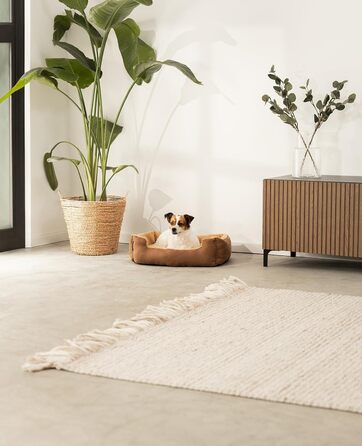 Килимок для собак Lionto з двостороннім подушкою та нековзким дном, 60x48 см, коричневий/бежевий. Підходить для собак та котів будь-якого віку.