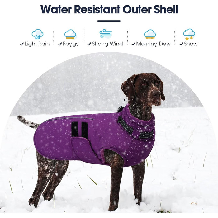 Зимова куртка для собак IECOii, тепла, водонепроникна, регульована, з відбиваючими елементами, фіолетового кольору, розмір M