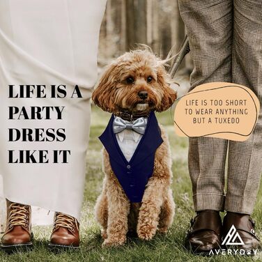 Смуговий костюм для собак AVERYDAY для весілля та ювілею: стильний костюм для собак на весілля з метеликом для маленьких та великих собак, формальний одяг для дня народження, пропозиції, фотосесій, косплею, особливих випадків (M (Окружність шиї 45-55 см),