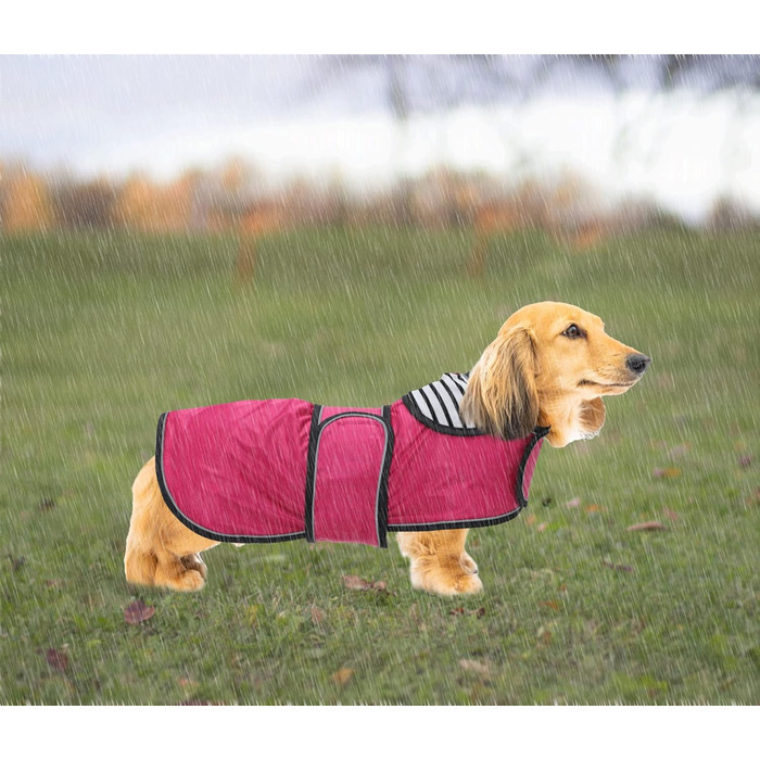 Дощовик для собак Geyecete, рожевий, розмір M (довжина спини 42-45 см), регульований, з відбиваючими елементами