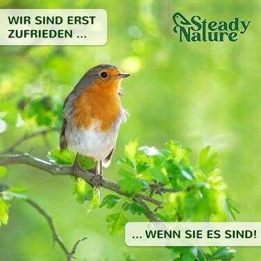 Дерев'яний будиночок для синиць Steady Nature, підвісний, для блакитної та великої синиці, згідно стандарту NABU, гніздівля для птахів