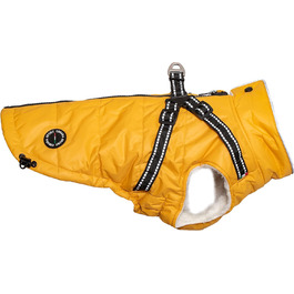 колір: жовтий