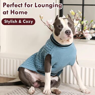 Пуловер для собак середнього розміру без рукавів, для дівчаток, на шлейці, зимовий, з коміром-стійкою, теплий, в'язаний, для осені та зими, блакитний