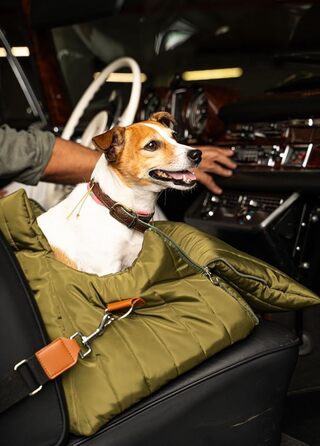 Чорничний собачий рюкзак Flying Dog Sunny 3-в-1: переноска, автокрісло та лежак для собак до 10 кг, оливковий колір