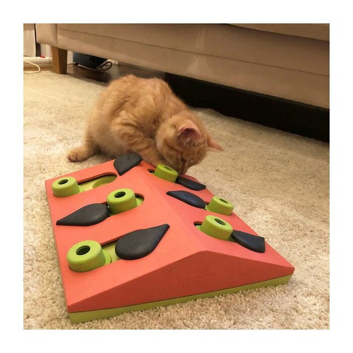 Інтерактивна головоломка для котів Nina Ottosson Cat Puzzle Play — Melon Madness