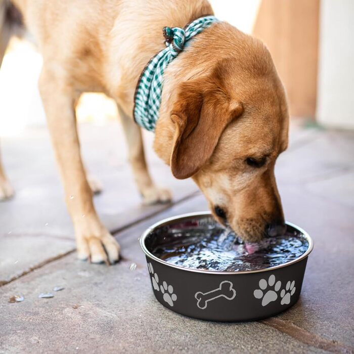 Миска для собак Loving Pets Bella Bowls, нержавіюча сталь, L, Espresso Brown