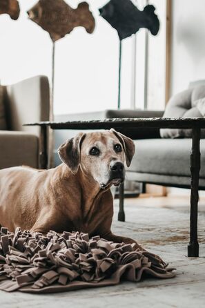 Шнуфлючий килимок для собак LILA LOVES IT 56x56 см - преміум іграшка для вихованців, стильний дизайн, міцний та пральний