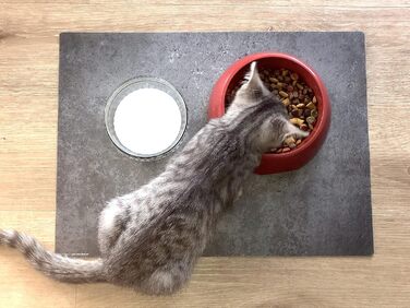 Підстилка для собак та котів 60x40 см – вінілова кормова підстилка з металевим покриттям, міцна, зносостійка, неслизька та водовідштовхувальна – Made in Germany